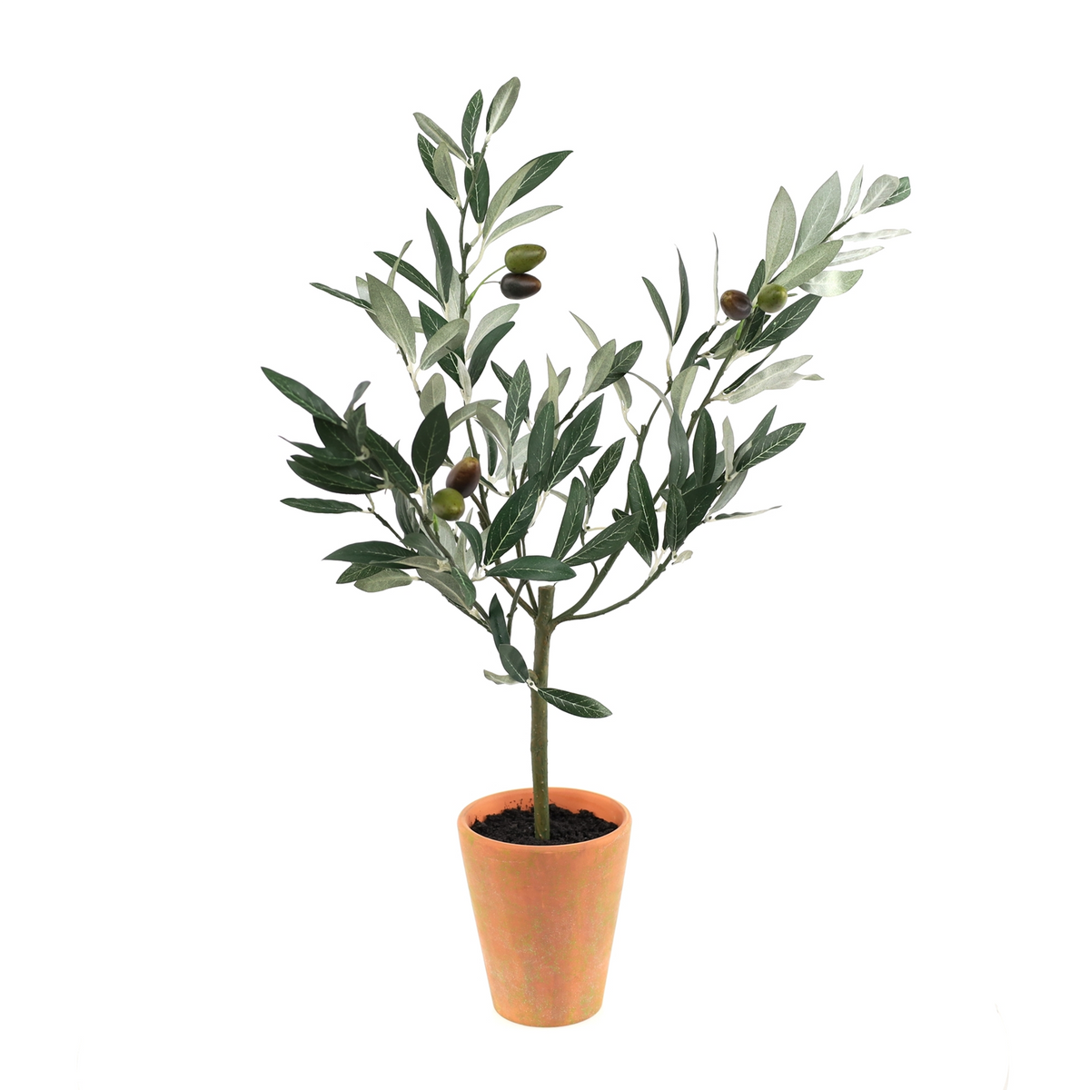 Potted Olive Tree Topiary 22"H -Ship Only