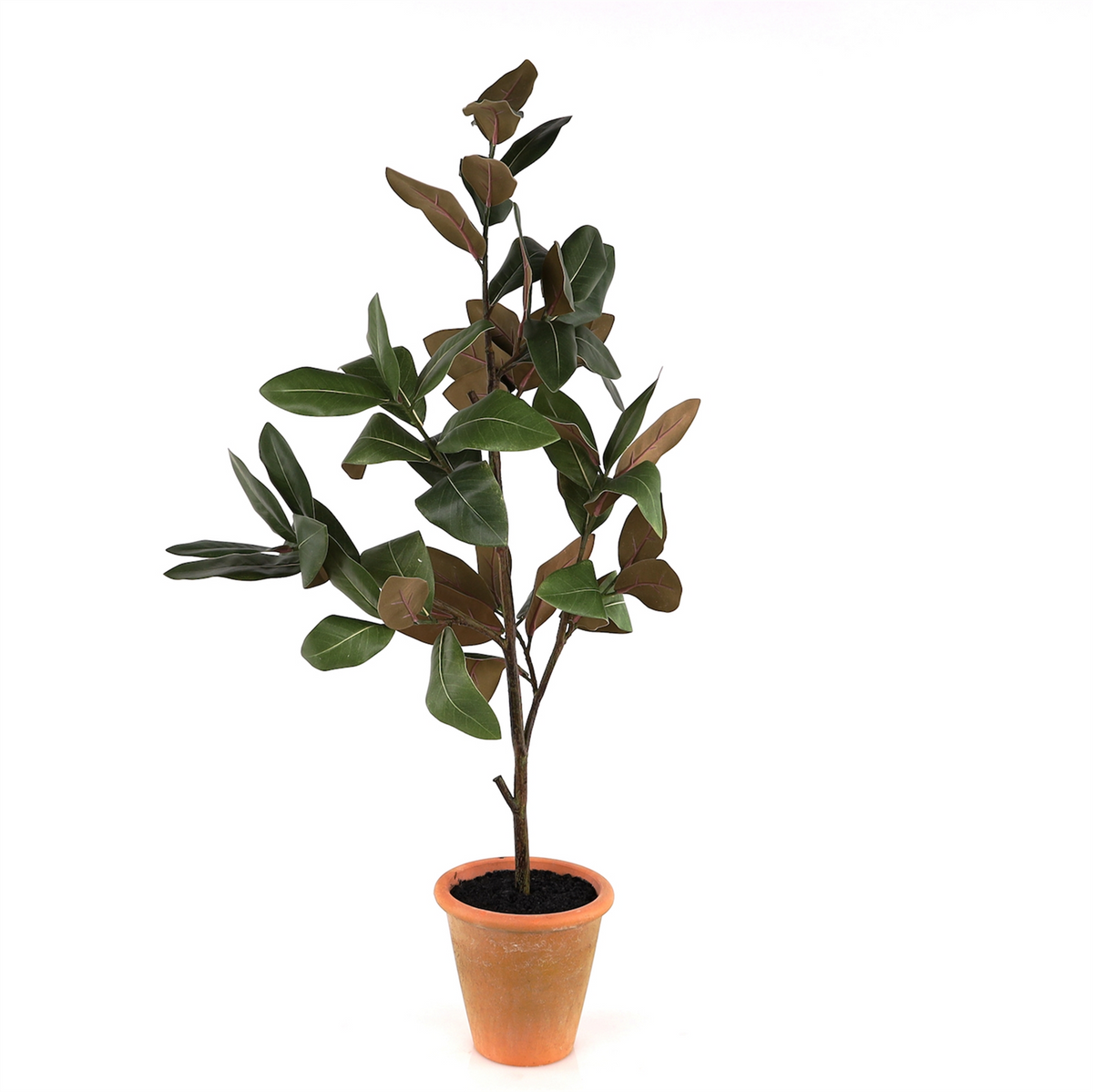 Potted Magnolia Tree Topiary 22"H -Ship Only