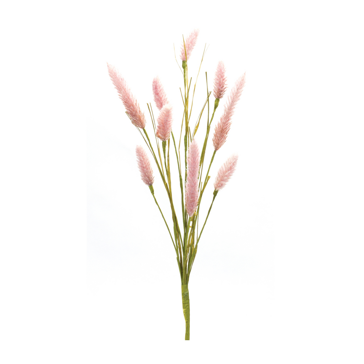 Foxtail Spray (Set of 6) -Ship Only