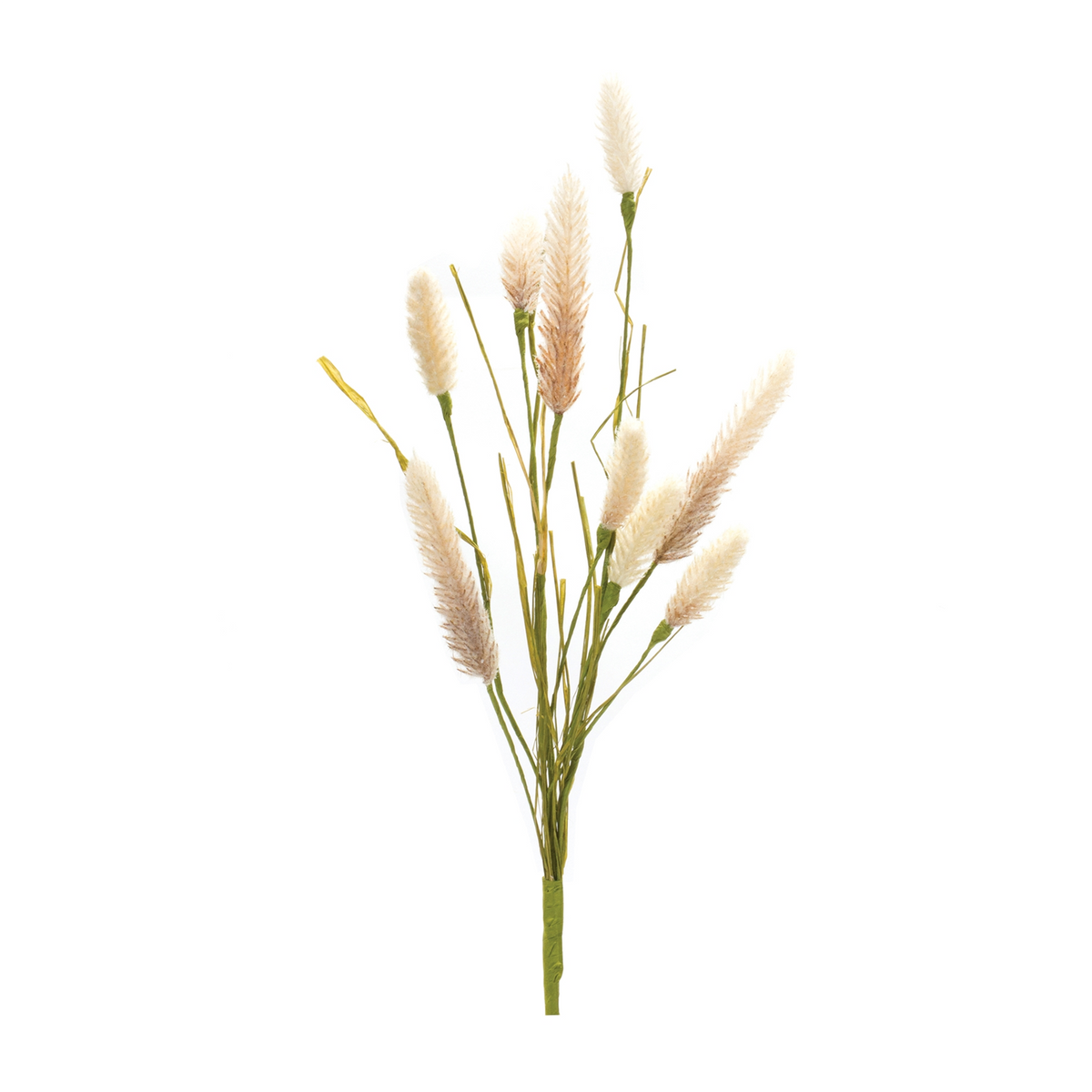 Foxtail Spray (Set of 6) -Ship Only