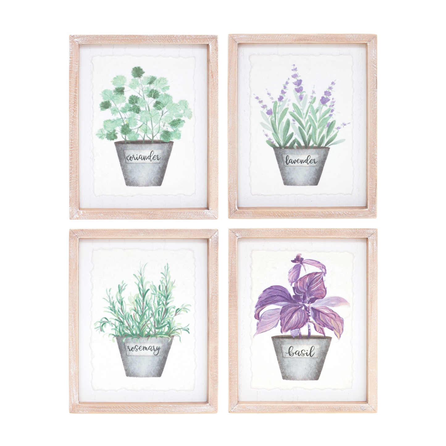 Framed Watercolor Herb Print (Set of 4) -Ship Only