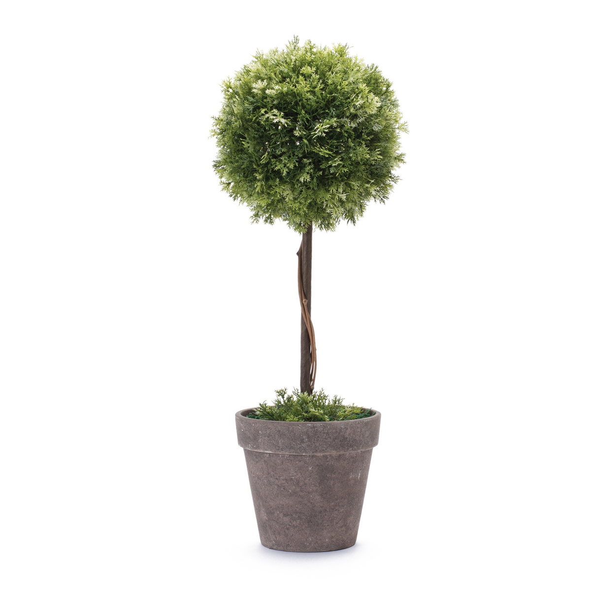 Topiary 17.5”H Plastic -Ship Only