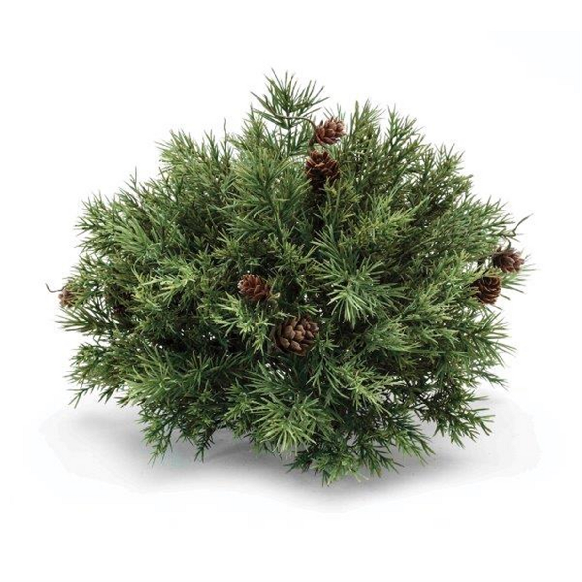 Mixed Pine Half Orb 10"D x 9"H Plastic -Ship Only