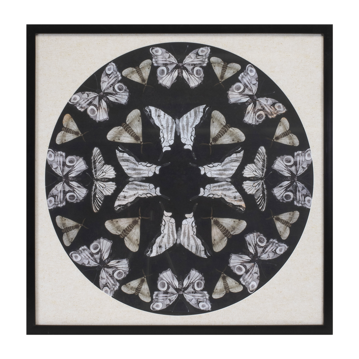 Framed Butterfly Print 25"SQ -Ship Only