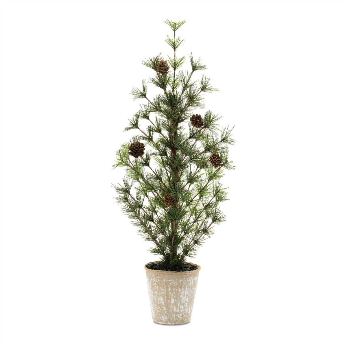 Potted Mini Pine Tree 24"H -Ship Only
