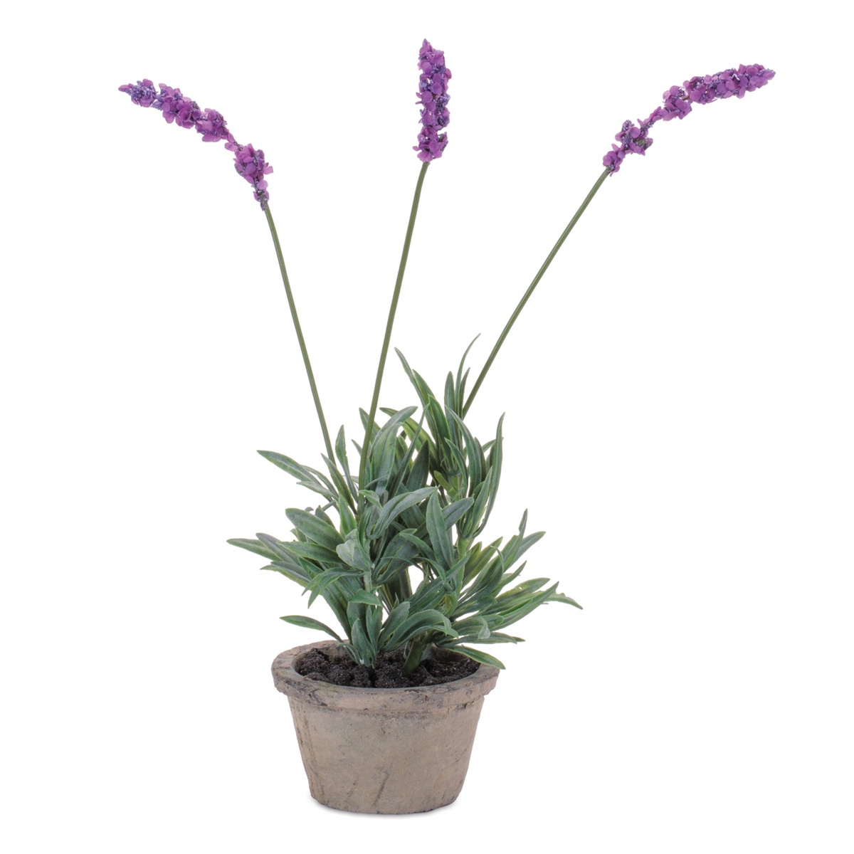 Potted Lavender 14.5"H -Ship Only