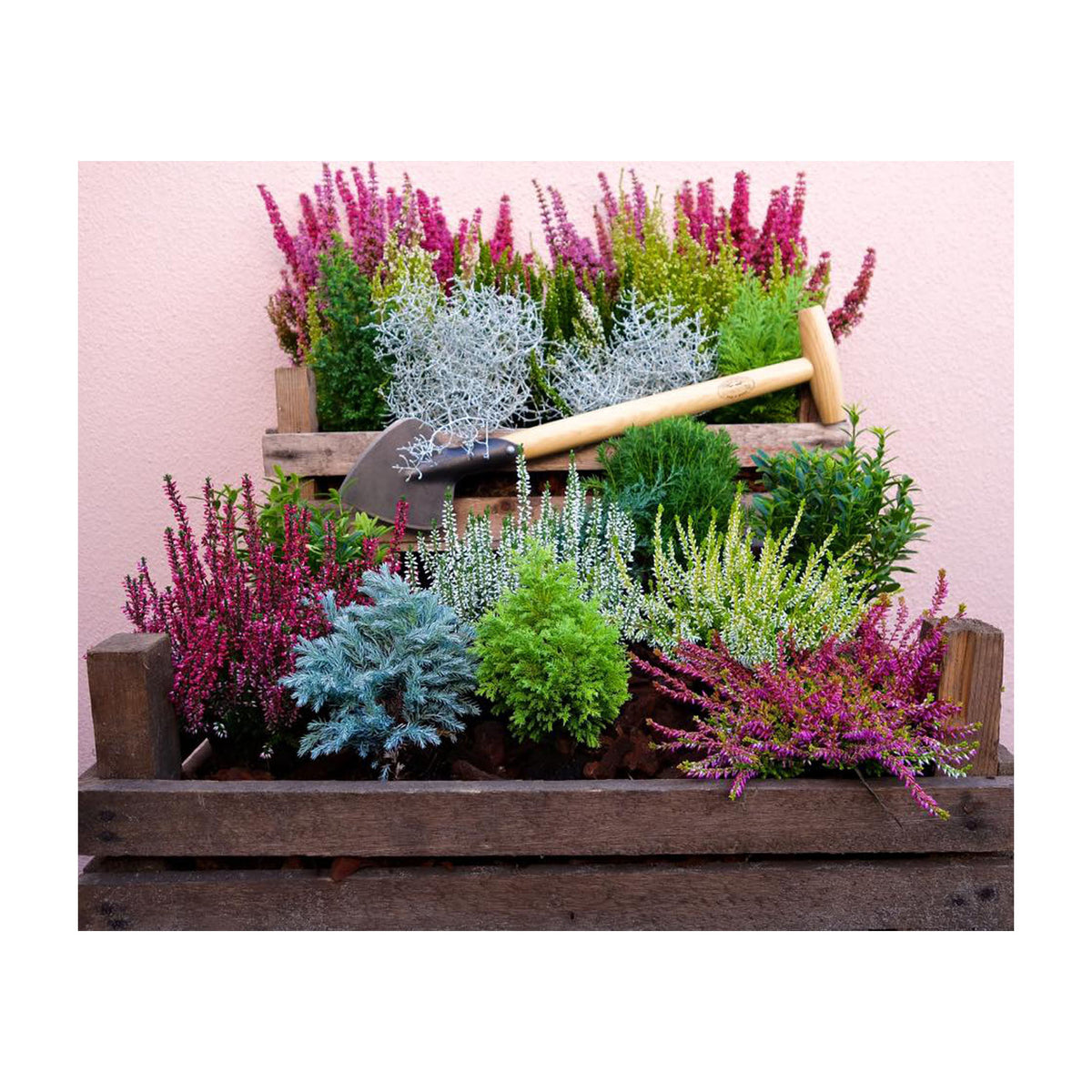 DeWit Spade - Perennial Long Handle -Ship Only