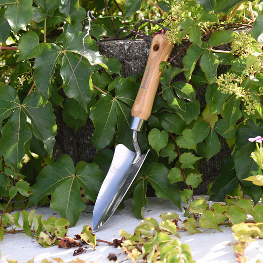 Stainless Steel Transplanter with Bamboo Handle -Ship Only