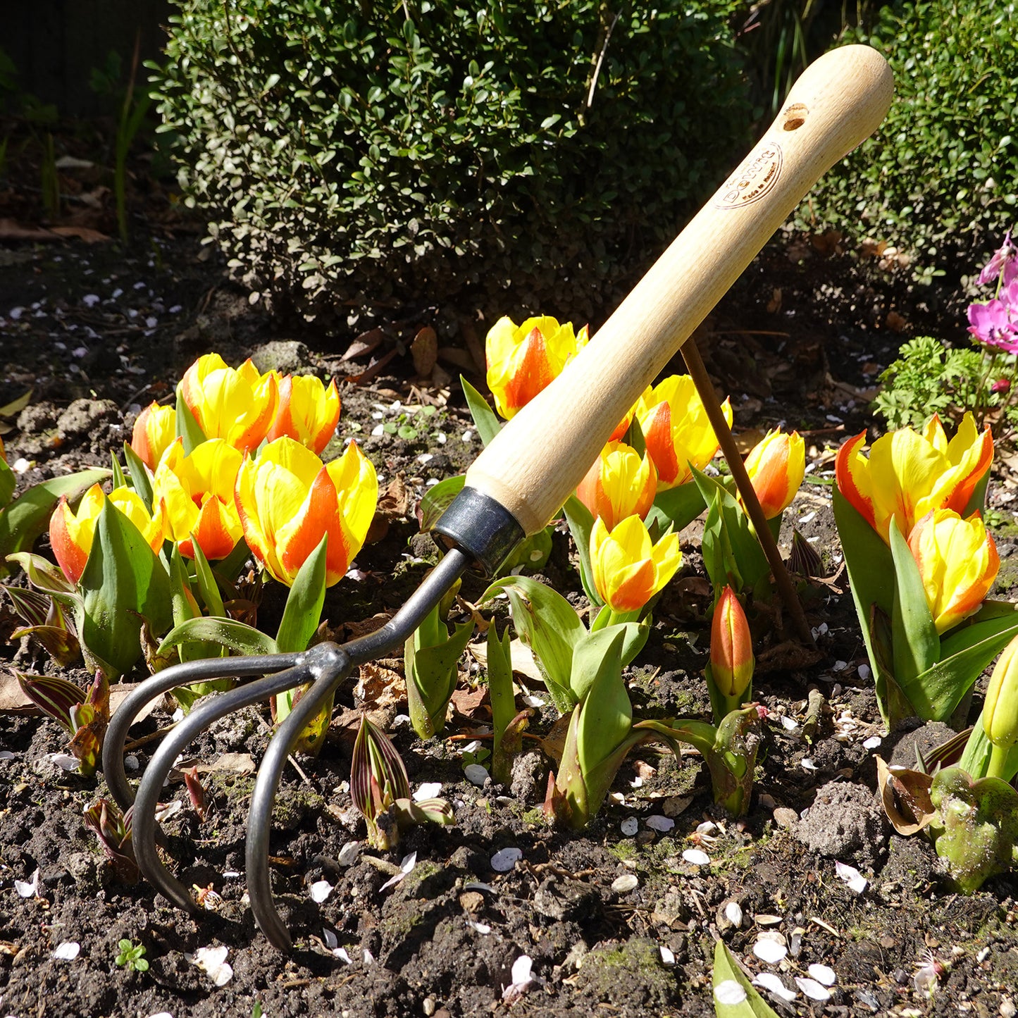 DeWit Cultivator - Midsize Handle -Ship Only