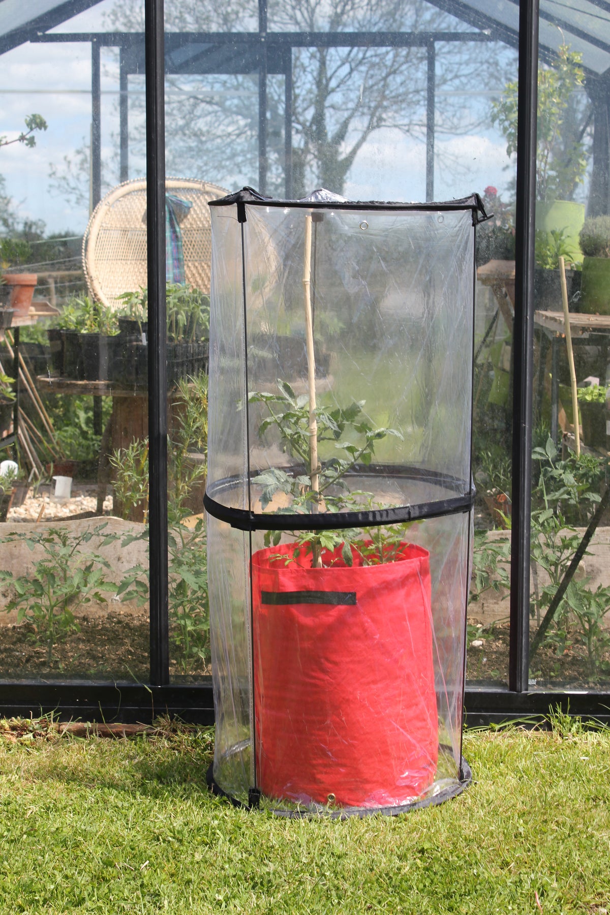 Twist Up Tomato Cloche -Ship Only