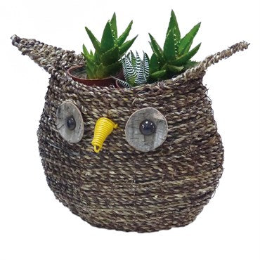 10.5" Large Owl Rattan Rope Topiary