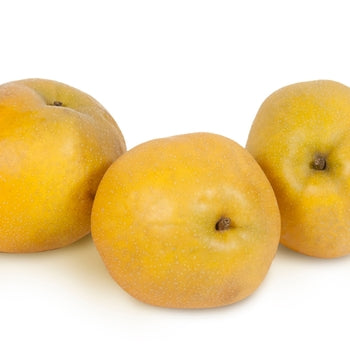 Pear - Tawara Asian