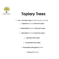 Dragonfly Topiar - Emerald Green Arb