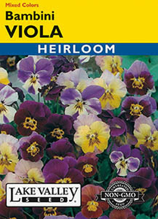 VIOLA BAMBINI MIXED COLORS HEIRLOOM