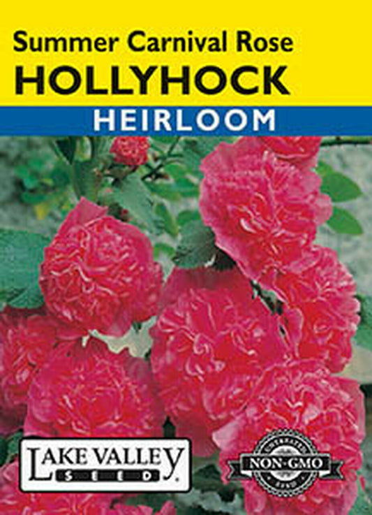 HOLLYHOCK SUMMER CARNIVAL ROSE HEIRLOOM