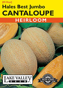 CANTALOUPE HALES BEST JUMBO HEIRLOOM