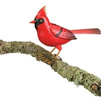 Songbird Decor Cardinal