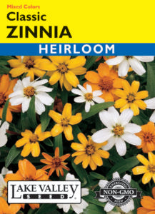 ZINNIA CLASSIC MIXED COLORS HEIRLOOM