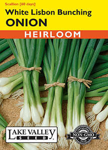 ONION WHITE LISBON BUNCHING HEIRLOOM