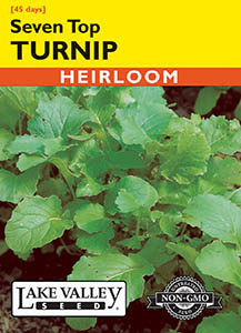 TURNIP SEVEN TOP HEIRLOOM