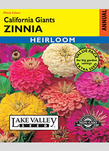 ZINNIA CALIFORNIA GIANTS MIXED COLORS VP HEIRLOO