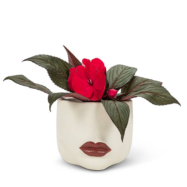 Sm Lip Planter