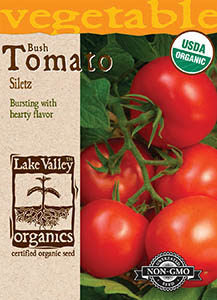 ORGANIC TOMATO BUSH SILETZ