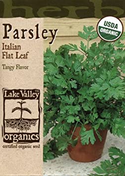 ORGANIC PARSLEY ITALIAN FLAT LEAF HEIRLOOM