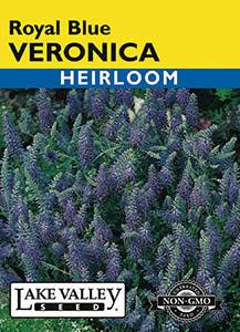 VERONICA ROYAL BLUE HEIRLOOM