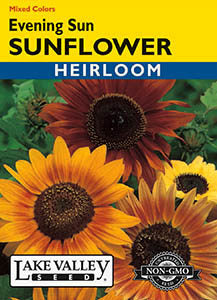 SUNFLOWER EVENING SUN MIXED COLORS HEIRLOOM