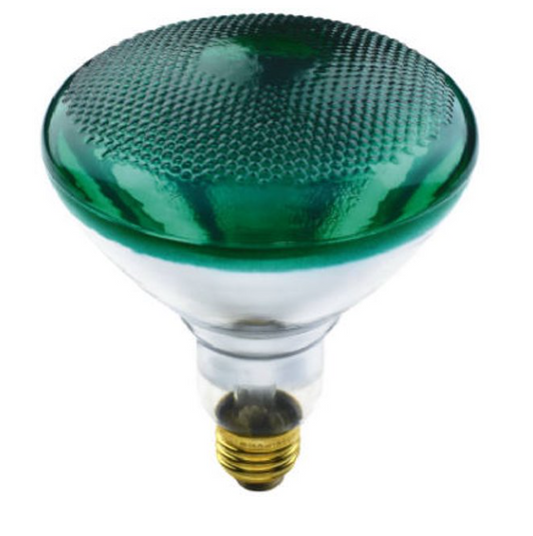 100W Outdoor Flood Light