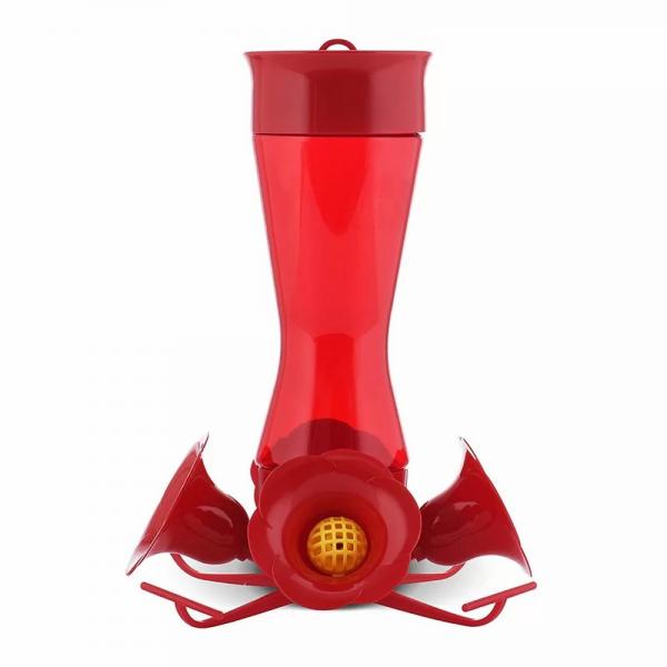 4 Fountain Hummingbird