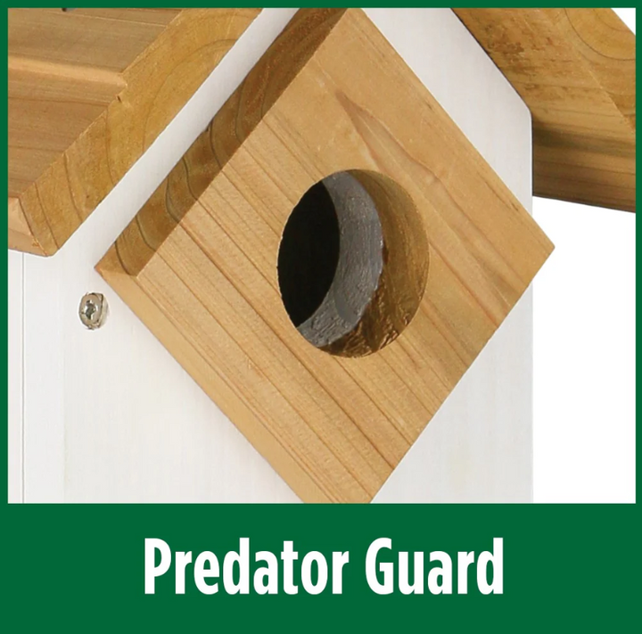 Farm House Bluebird House