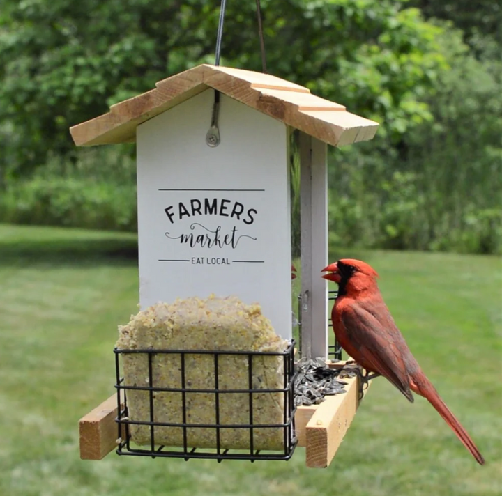 Farm House Hopper Bird Feeder