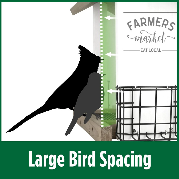 Farm House Hopper Bird Feeder