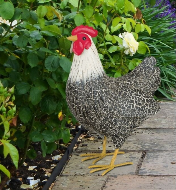 Murray Hen Decor