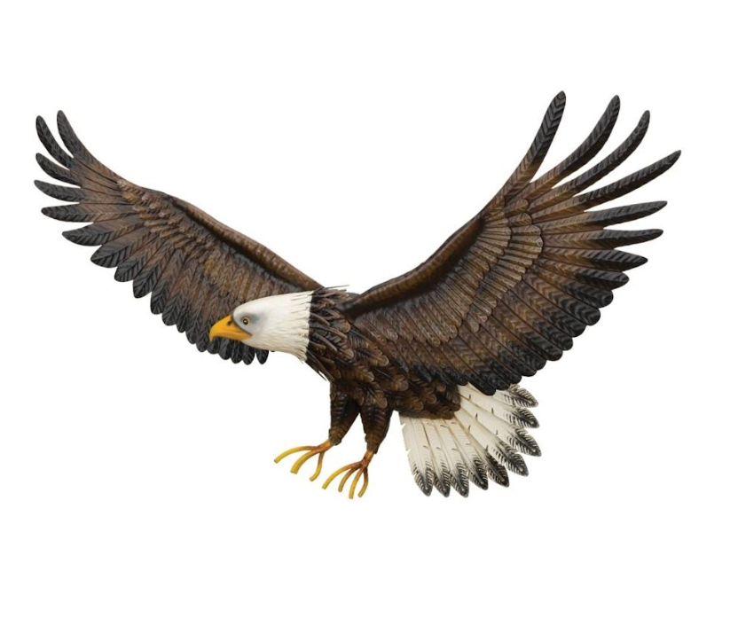 Eagle Wall Decor