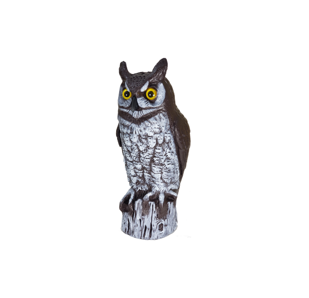 Great Horned Owl