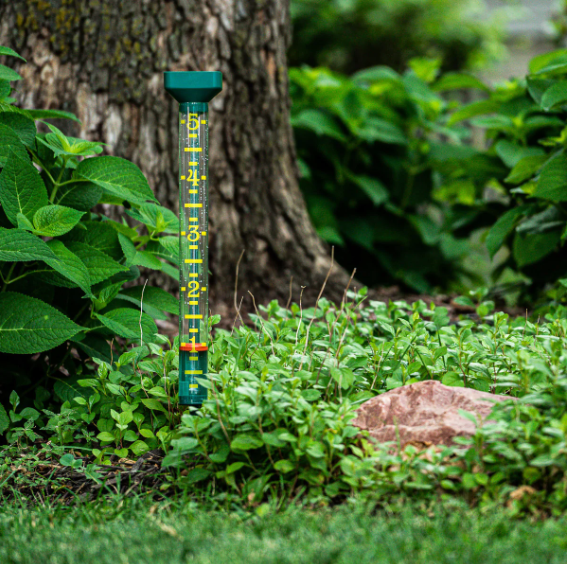 EZ Read Rain Gauge