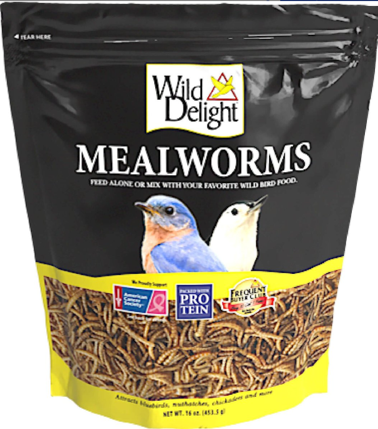 Wild Delight Mealworms 16 oz