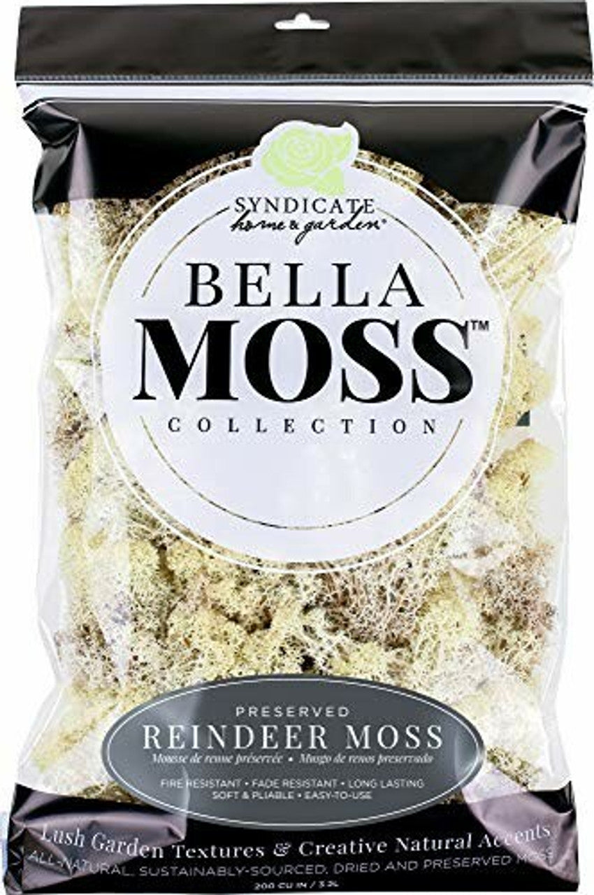 Preserved Reindeer Moss