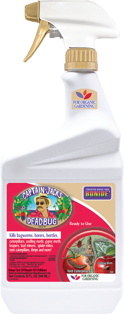 Captain Jack's Deadbug Brew Organic