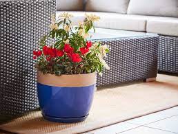 Ana Planter