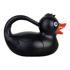 Duck Watering Can