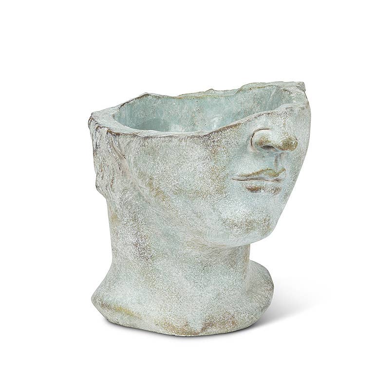 Half Male Face Planter