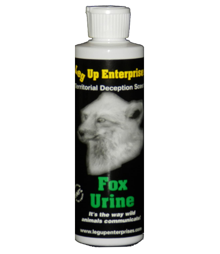 Leg Up Fox Urine