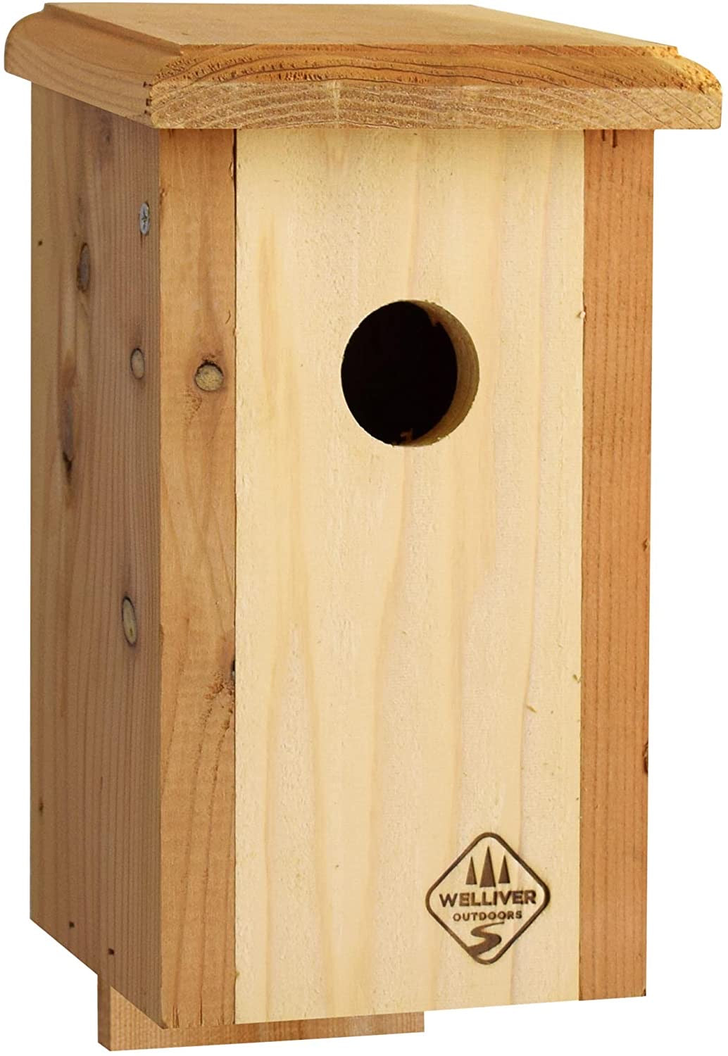 Standard Blue Bird House