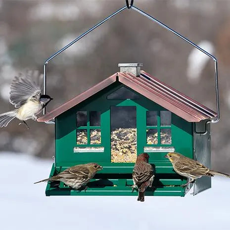 Home Style Wild Bird Feeder