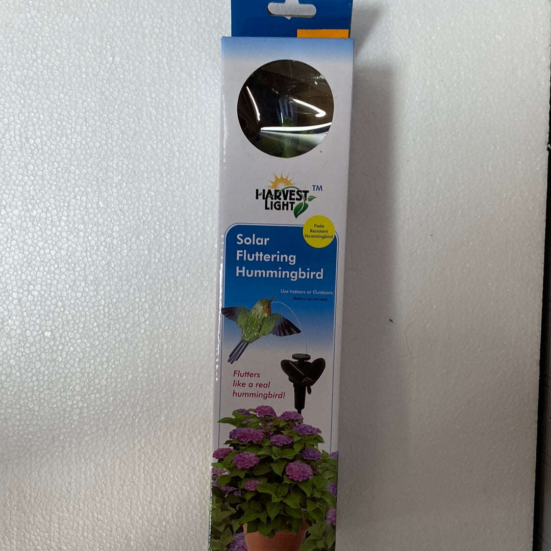 Solar Fluttering Hummingbird