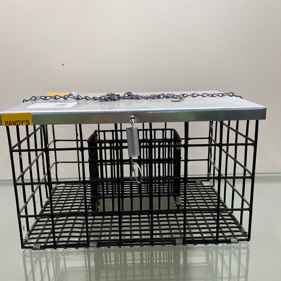 Squirrel Proof Bird Feeder